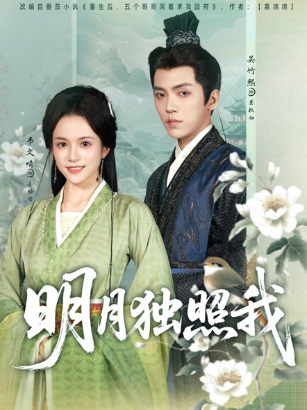 明月独照我