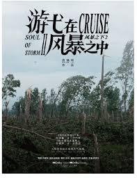 游弋在风暴之中