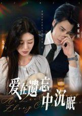 爱在遗忘中沉眠