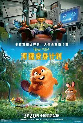 河狸变身计划 （葡萄牙语）