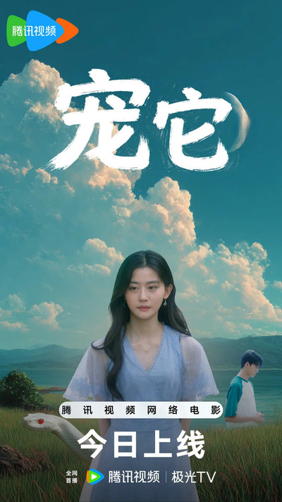 宠它